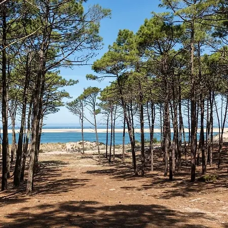 Villa Spacieuse Au Pyla Avec Piscine Et Jardin *